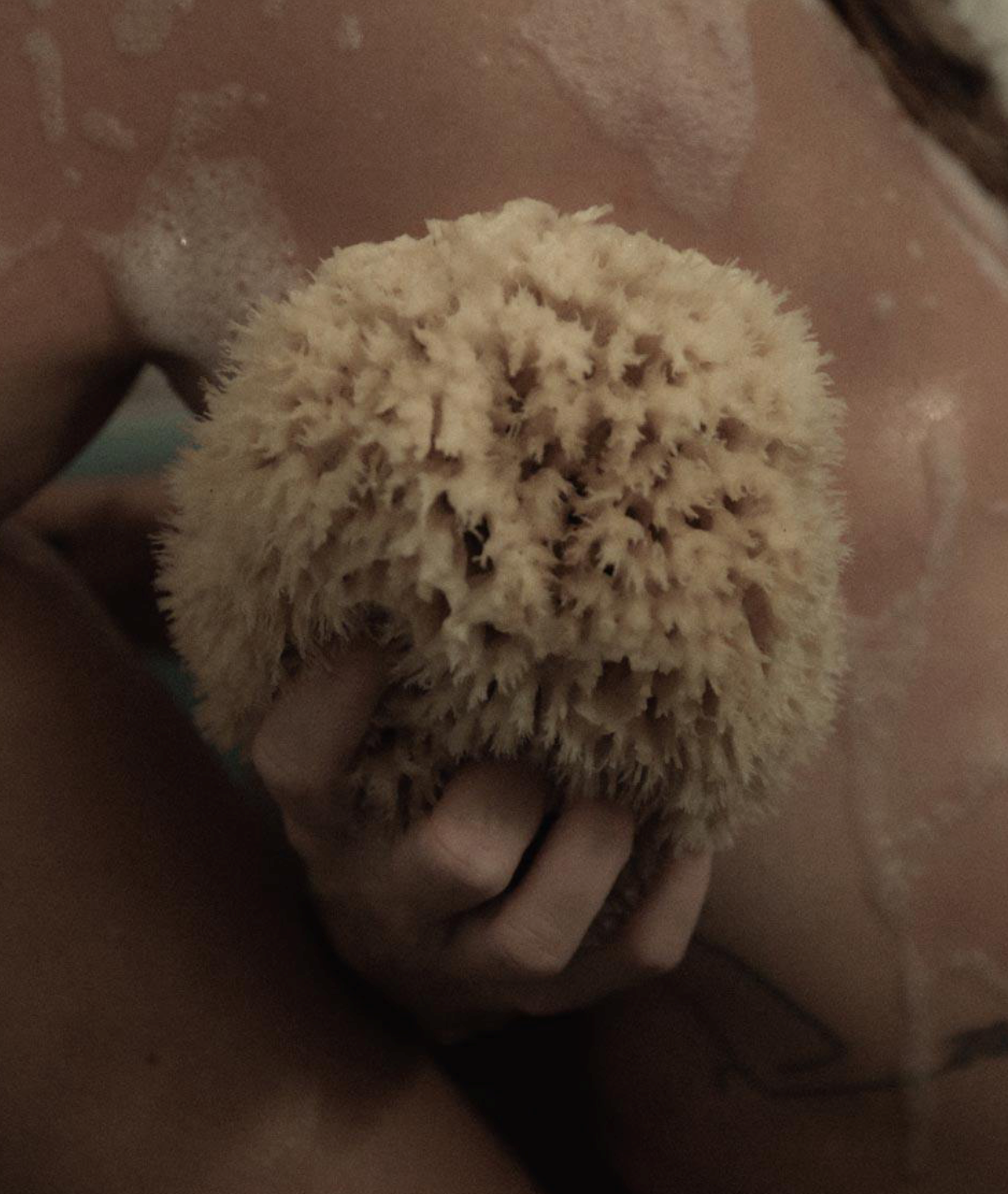 Well Kept- Sea Sponge