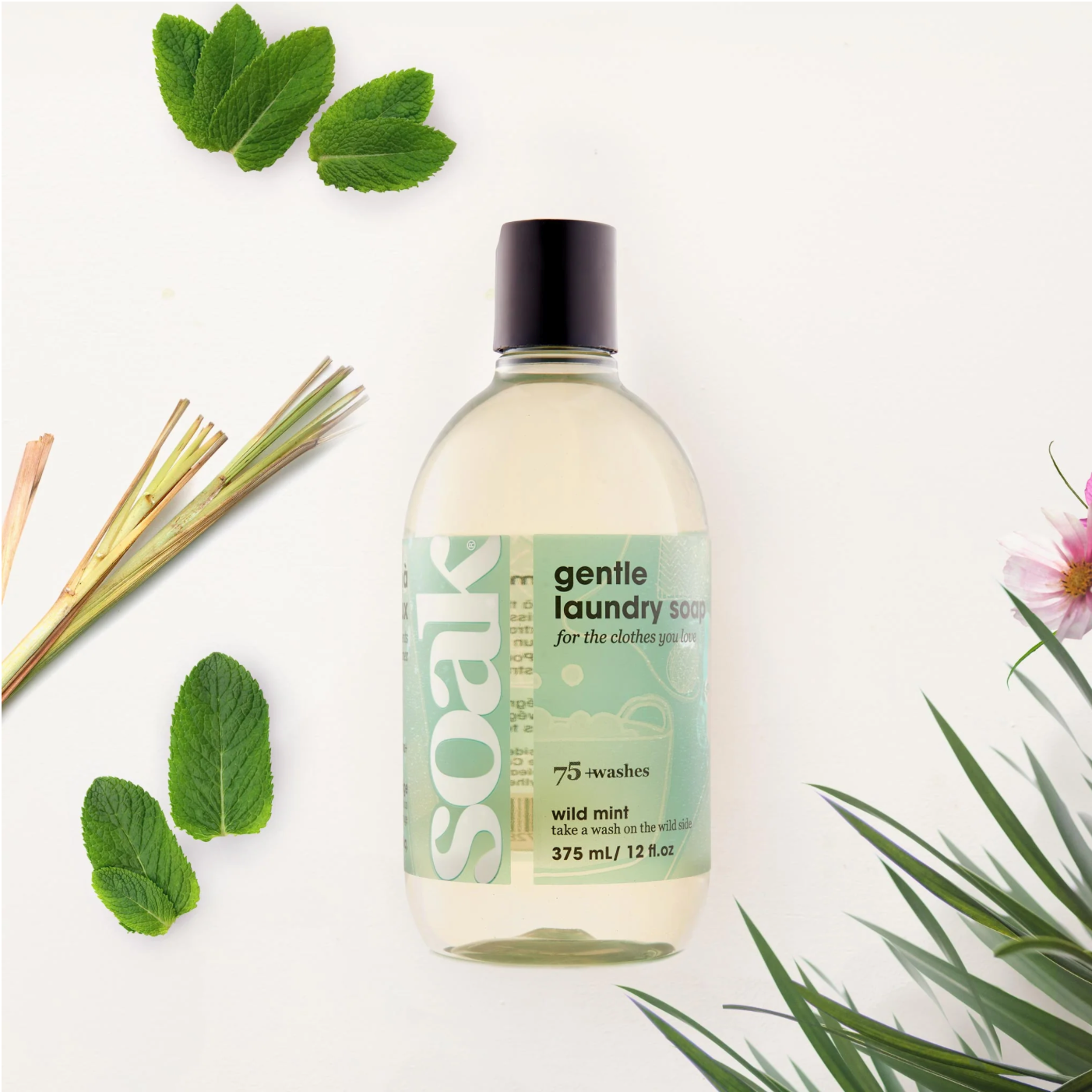 Soak laundry soap