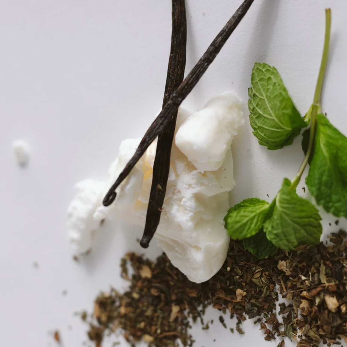 Picot- Tobacco Mint